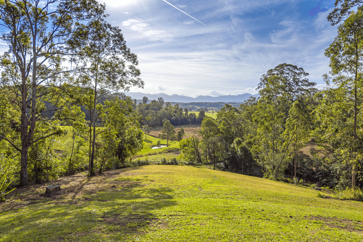 212 Mount Street, BELLINGEN, NSW 2454