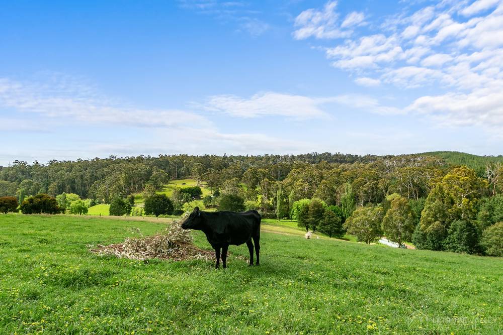 37 Clugstons Road, Gormandale, VIC 3873