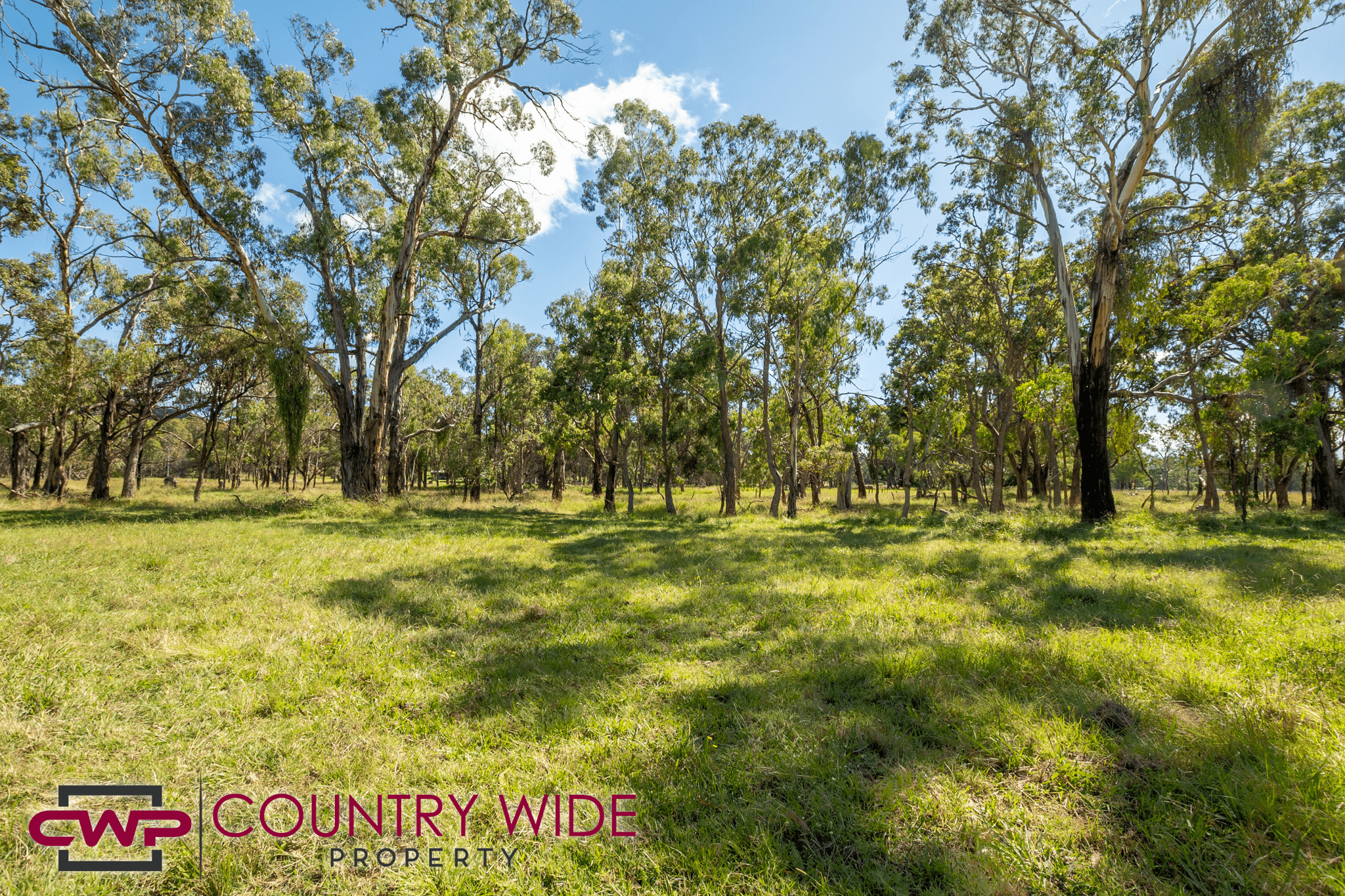 1546 Torrington Road, STANNUM, NSW 2371