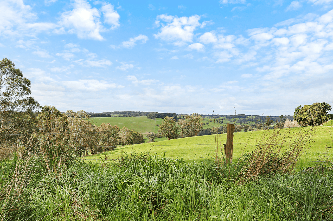 460 Old Port Campbell Road, JANCOURT EAST, VIC 3266