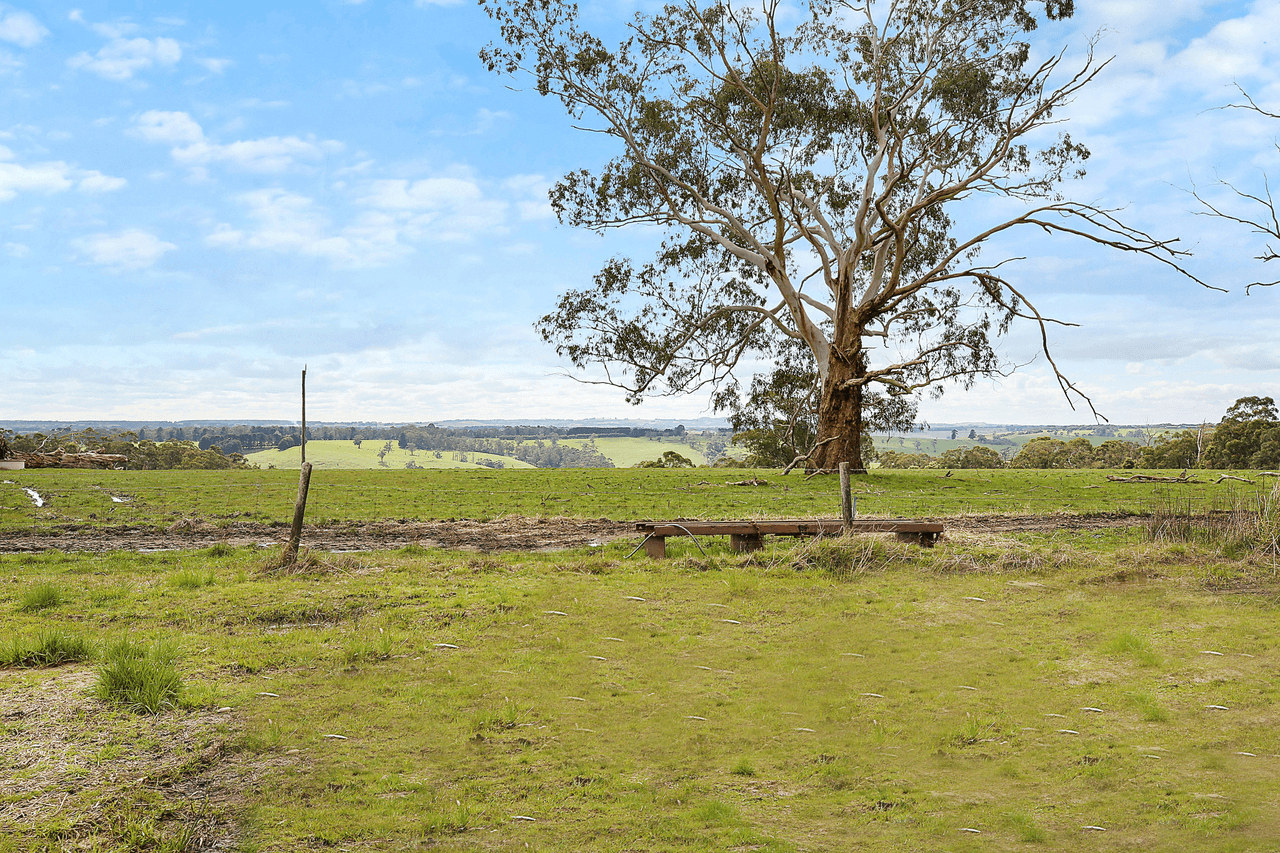 460 Old Port Campbell Road, JANCOURT EAST, VIC 3266