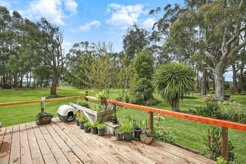 460 Old Port Campbell Road, JANCOURT EAST, VIC 3266