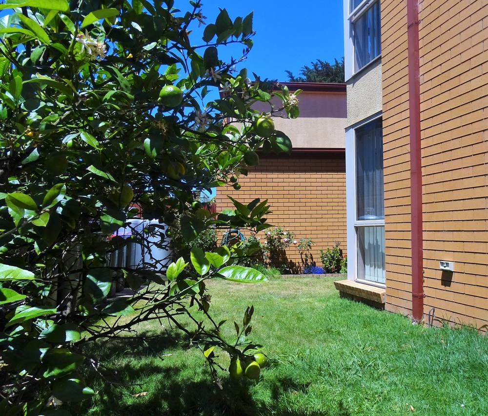 2/181 Great Ocean Road, APOLLO BAY, VIC 3233
