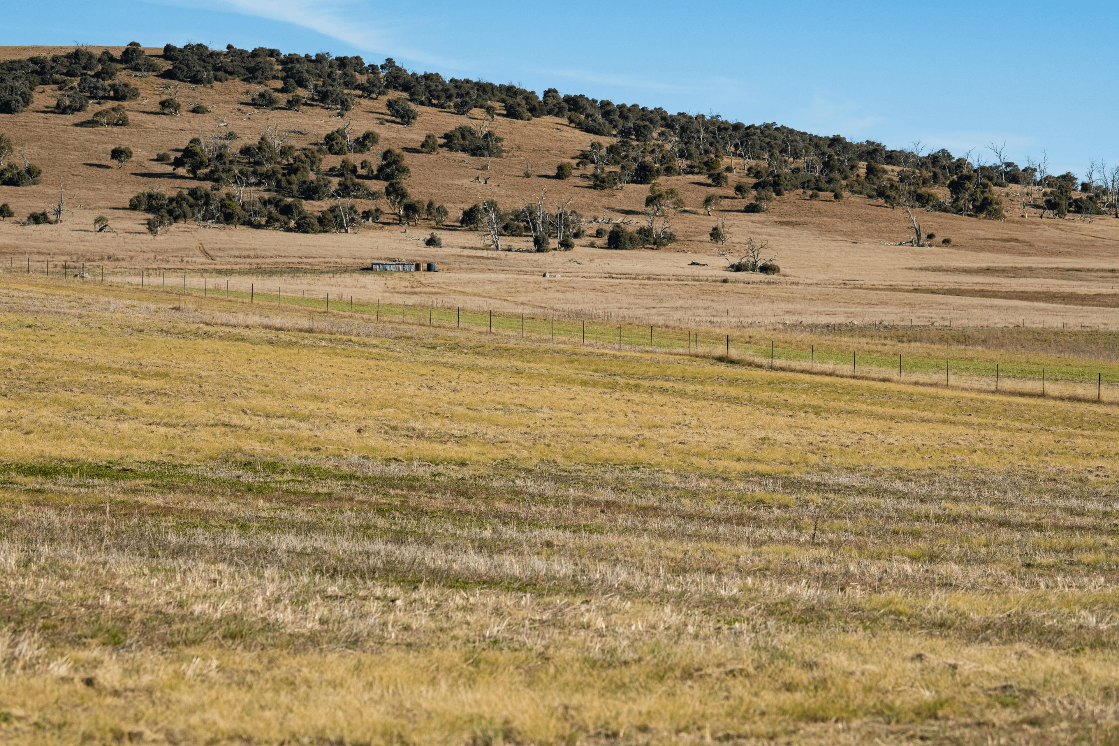 (9 / 13 / 17) Boundary Street, Berridale, NSW 2628