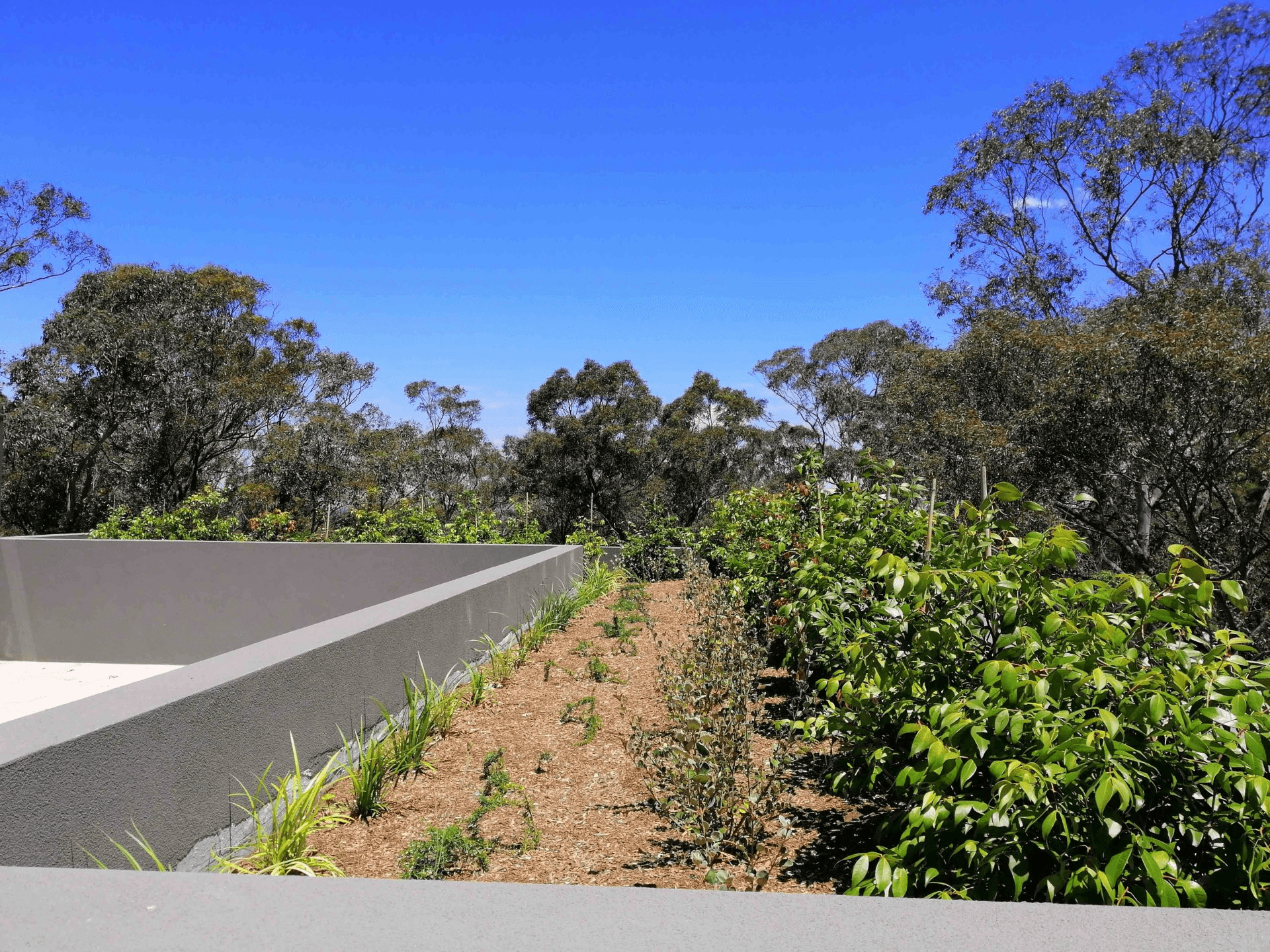 212/1454 Pacific Highway, Turramurra, NSW 2074