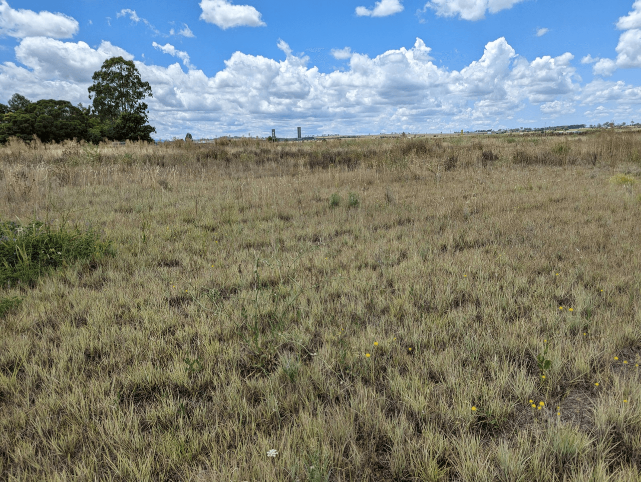 Lot 6 South Street, ALLORA, QLD 4362