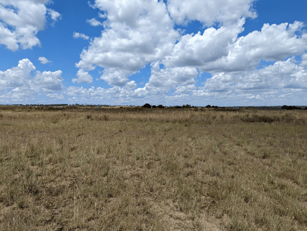 Lot 6 South Street, ALLORA, QLD 4362