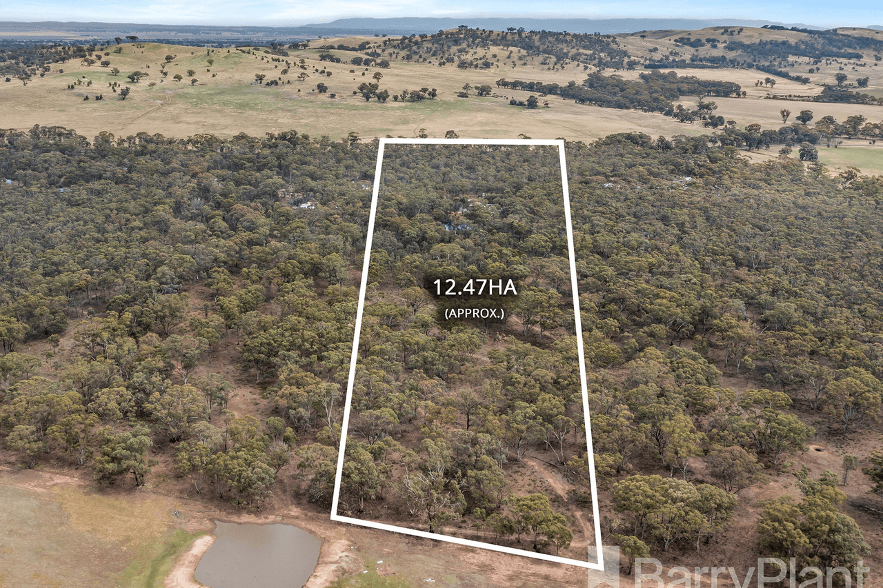 102 Bealiba South Road, Dunluce, VIC 3472