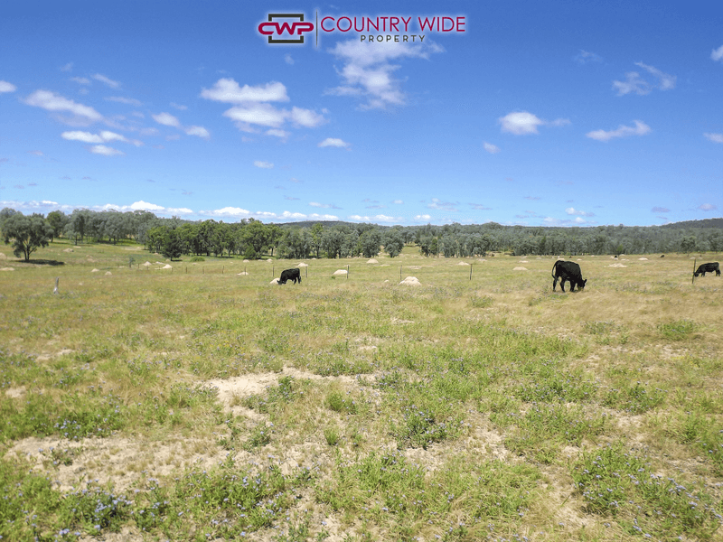 940 Camp Creek Road, ATHOLWOOD, NSW 2361