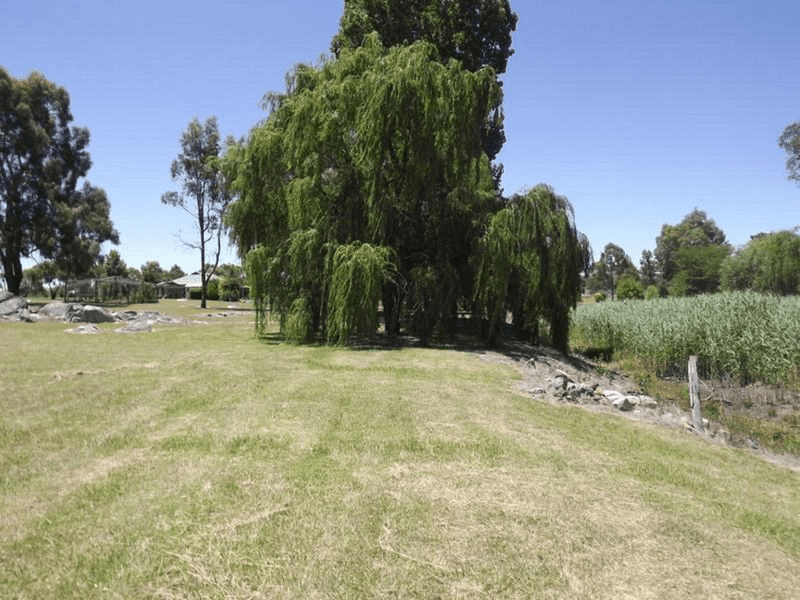 89 Severn River Road, DUNDEE, NSW 2370