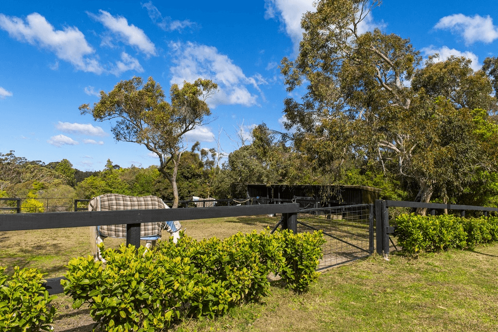 83 Mallawa Road, DUFFYS FOREST, NSW 2084