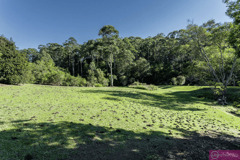 10 Joeliza Drive, REPTON, NSW 2454