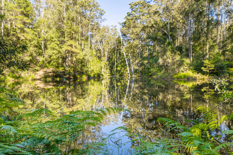 194 Storrs Road, PEACHESTER, QLD 4519