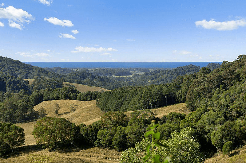 0 Crabbes Creek Rd, CRABBES CREEK, NSW 2483