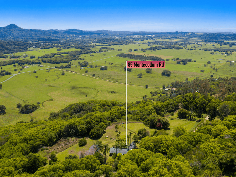 85 Montecollum RD, WILSONS CREEK, NSW 2482