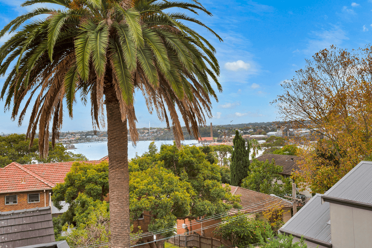 89 Elliott Street, Balmain, NSW 2041