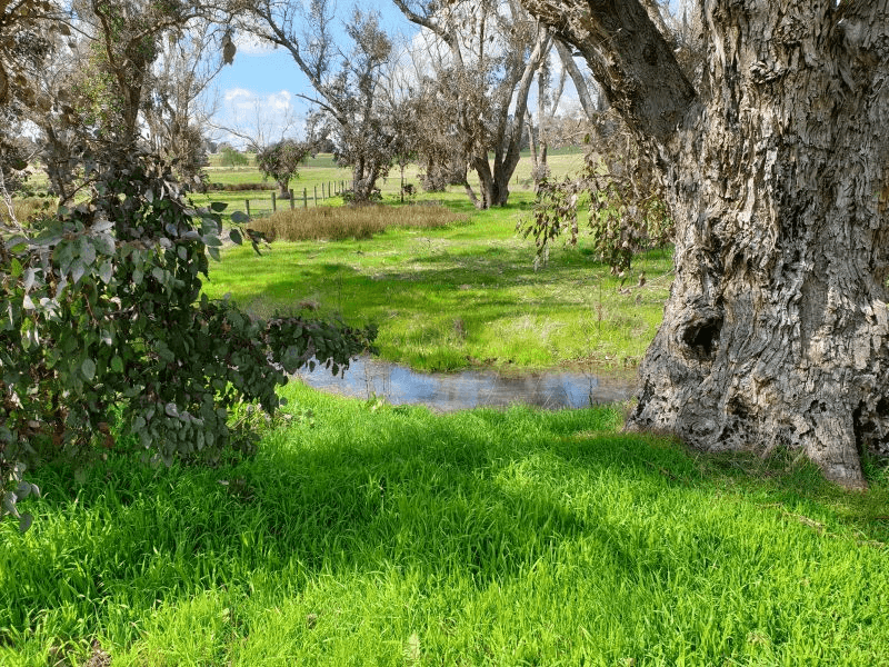 118 Banks Road, BOYUP BROOK, WA 6244