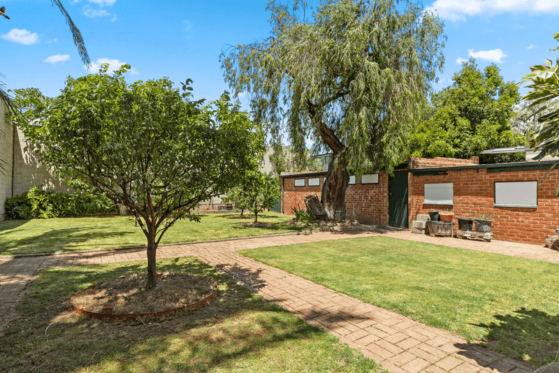 8 Lloyd Street, ST MARYS, SA 5042