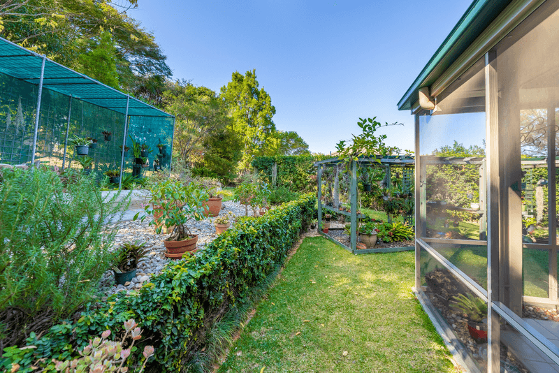 6 Persea Place, GLASS HOUSE MOUNTAINS, QLD 4518