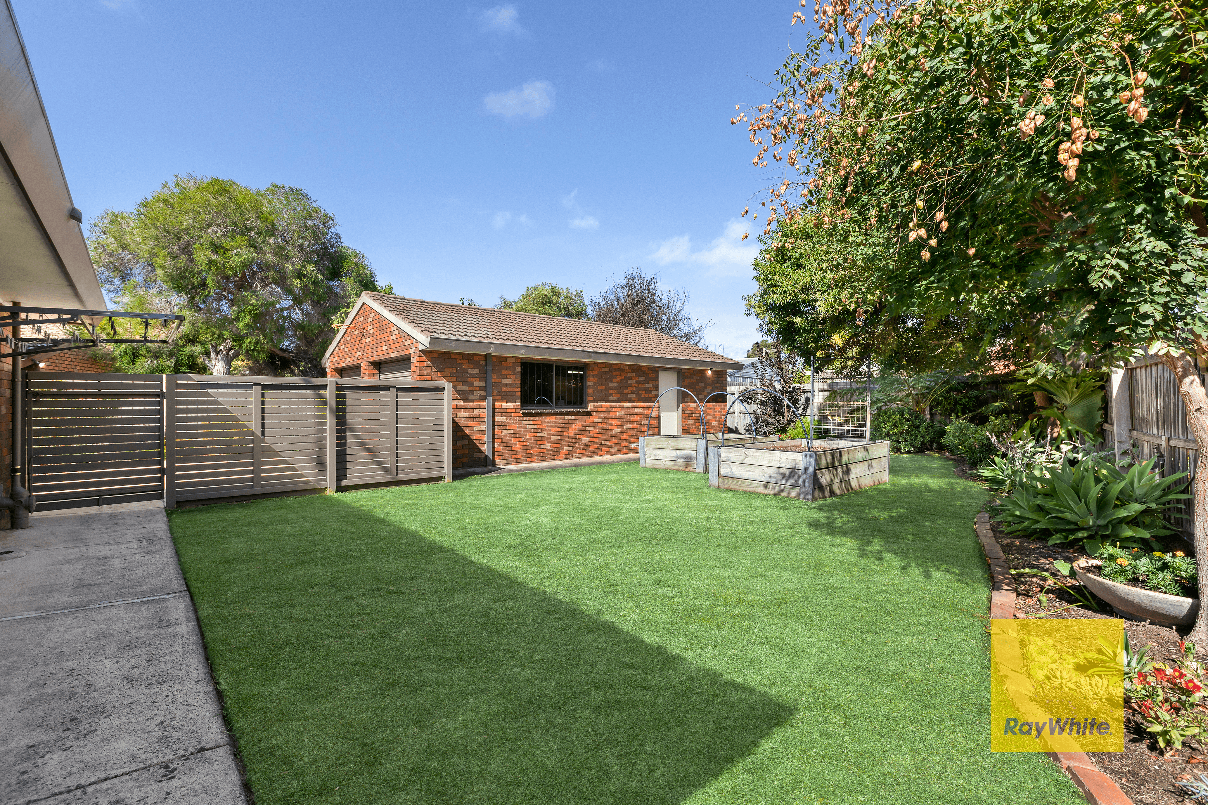 11 Oberon Drive, BELMONT, VIC 3216