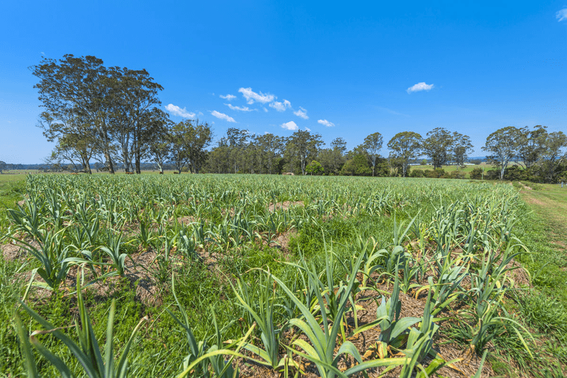 696 Kungala Road, KUNGALA, NSW 2460