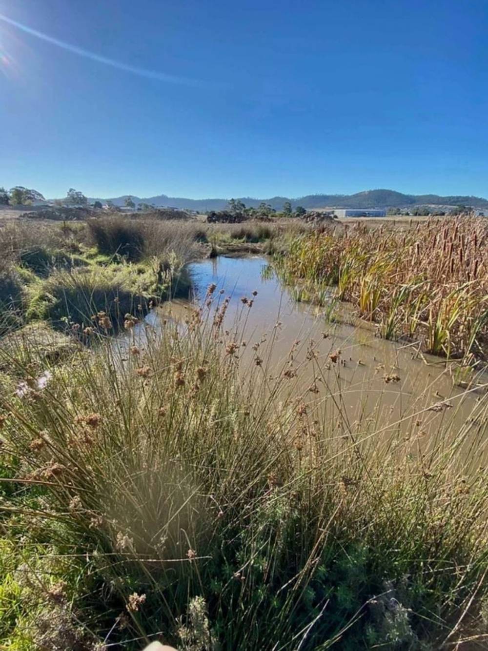 12 Enchantress Street, Rokeby, TAS 7019