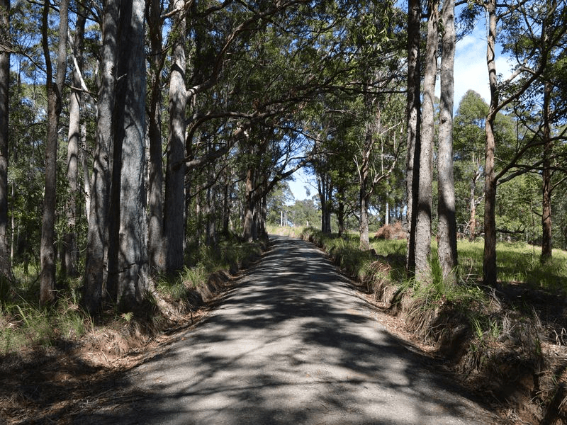 Lot 2 Curramore Road, CURRAMORE, QLD 4552