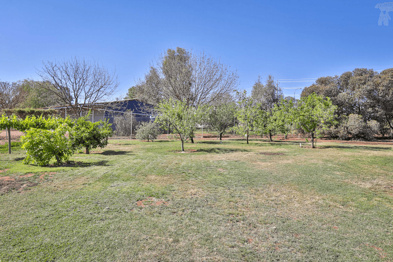 1814 Silver City Highway, DARETON, NSW 2717