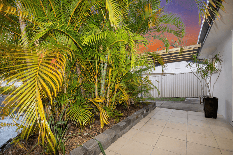 172 Currumburra Road, ASHMORE, QLD 4214