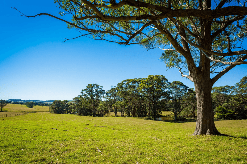 4072 Princes Highway, COILA, NSW 2537