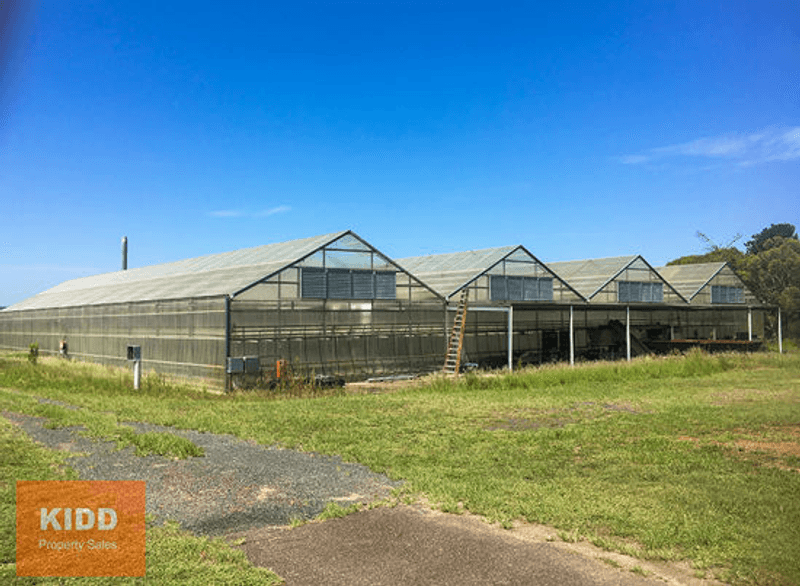 71 Brieses Road, PEATS RIDGE, NSW 2250