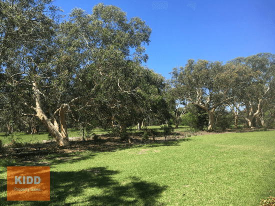 71 Brieses Road, PEATS RIDGE, NSW 2250