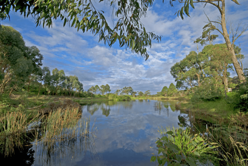 1419 Peats Ridge Road, PEATS RIDGE, NSW 2250