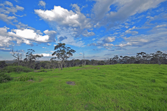 1419 Peats Ridge Road, PEATS RIDGE, NSW 2250