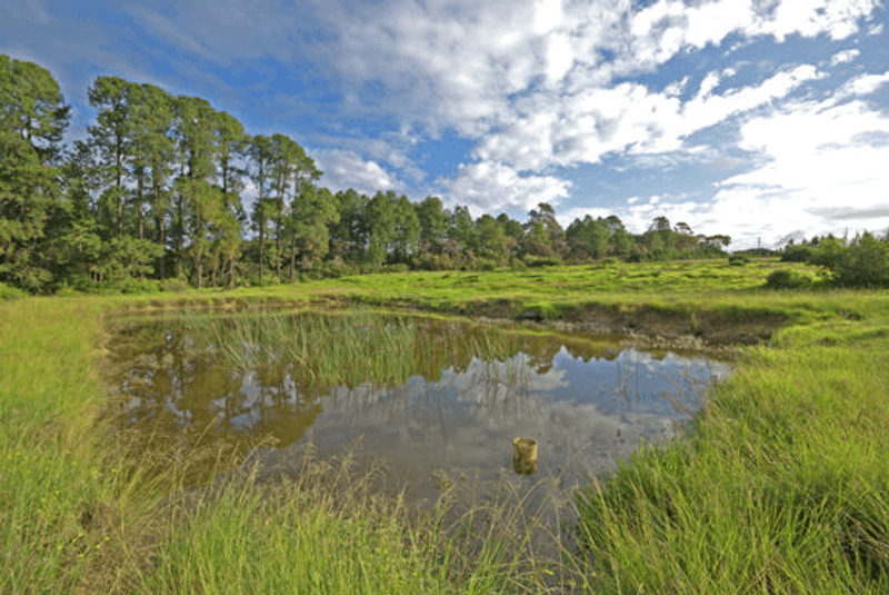 1419 Peats Ridge Road, PEATS RIDGE, NSW 2250