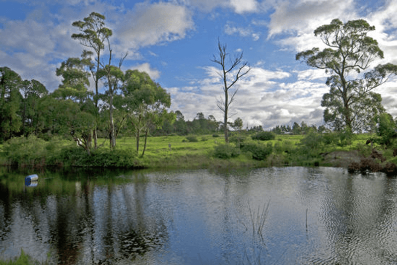 1419 Peats Ridge Road, PEATS RIDGE, NSW 2250