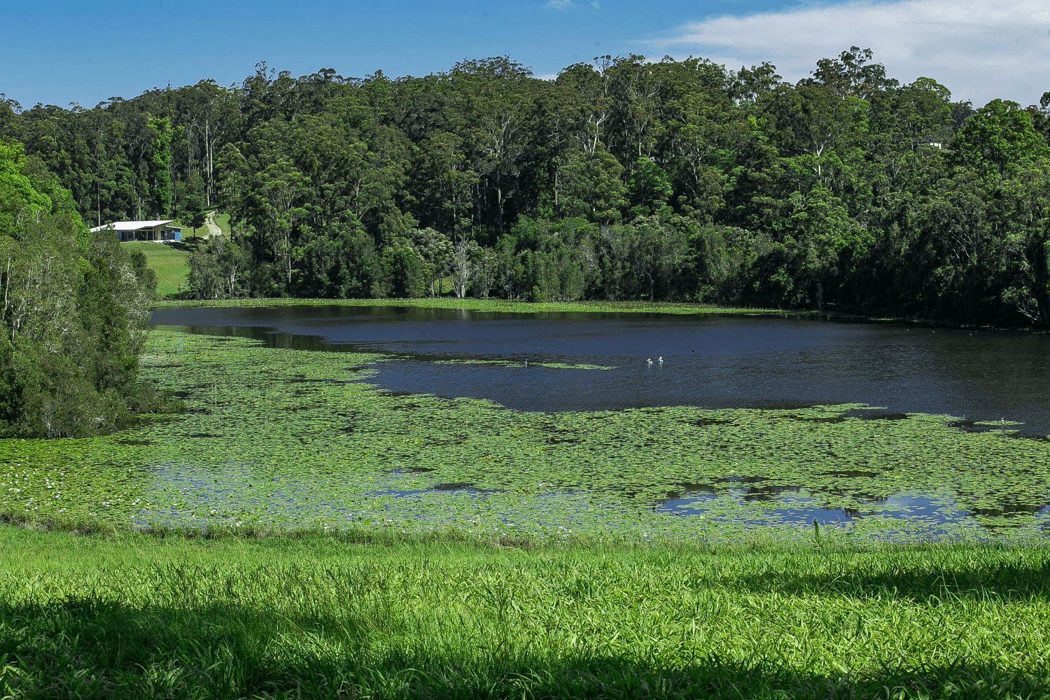 Lot 26 "Rosella Ridge" 134 Rosella Dr, NAMBUCCA HEADS, NSW 2448