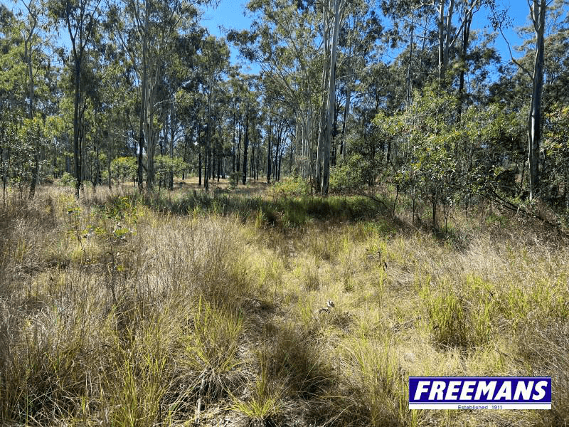 262 Brocklehurst Road, WATTLE CAMP, QLD 4615