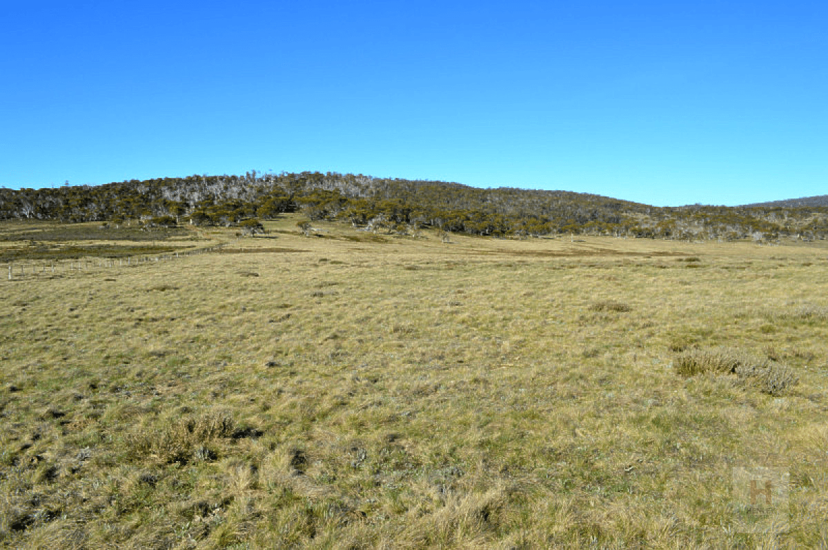 Happy Jacks Road, Snowy Plain, NSW 2628