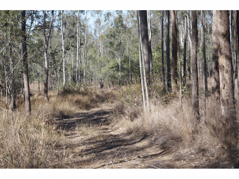 Wallers Road, Ringwood, QLD 4343