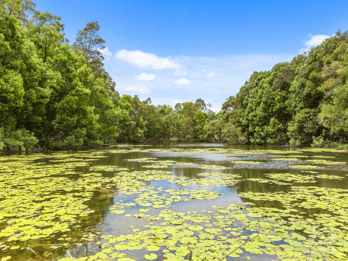 37 Cadaga Road, Fernvale, NSW 2484