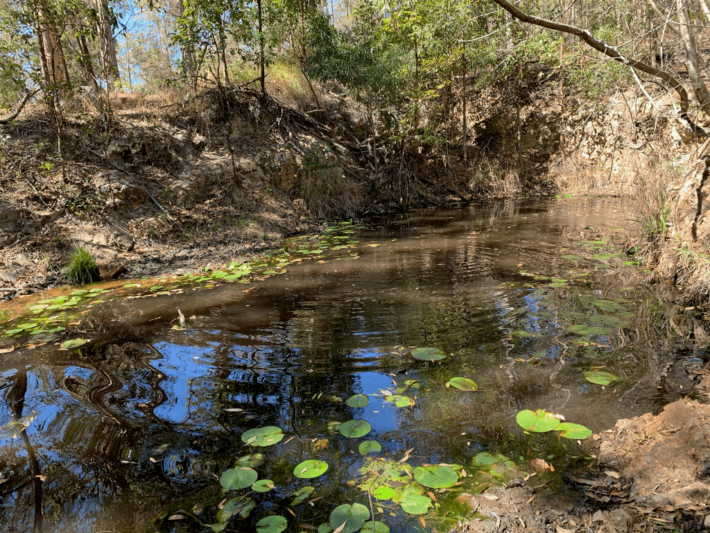 Lot 99 Blackbutt Road, HERONS CREEK, NSW 2439