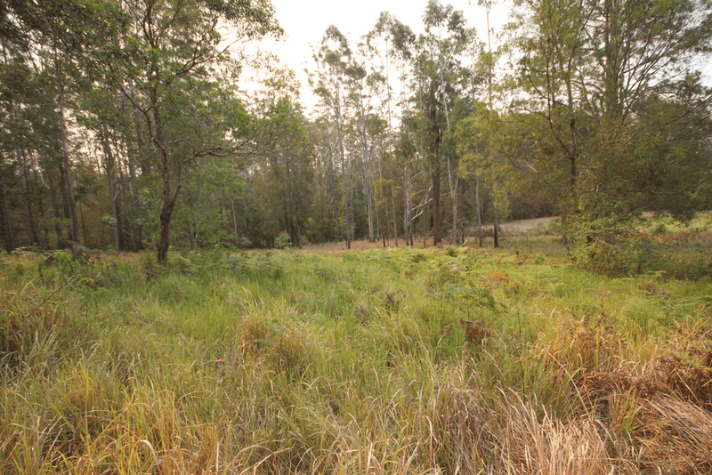 Lot 99 Blackbutt Road, HERONS CREEK, NSW 2439