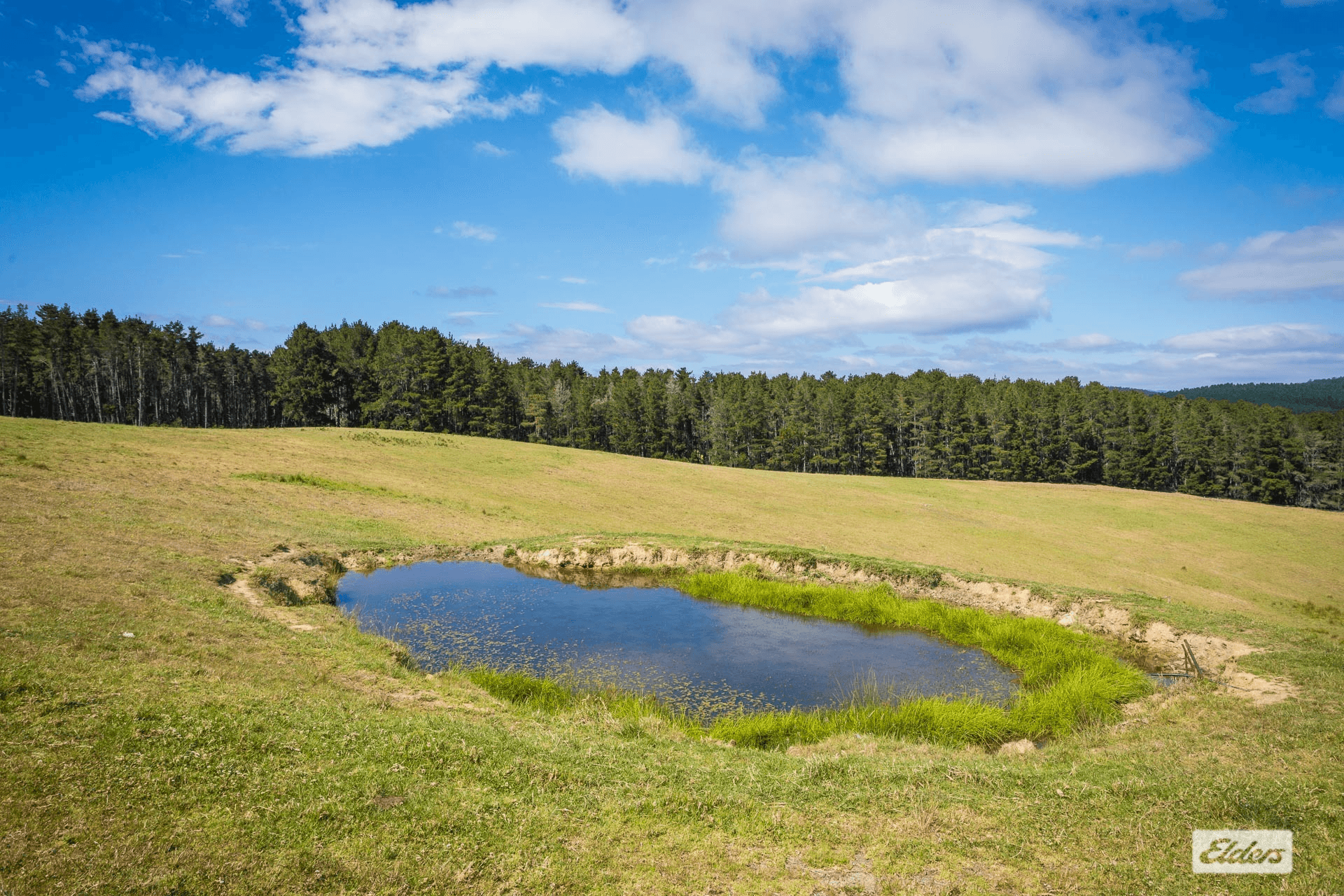 2985 Towamba Road, Towamba, NSW 2550