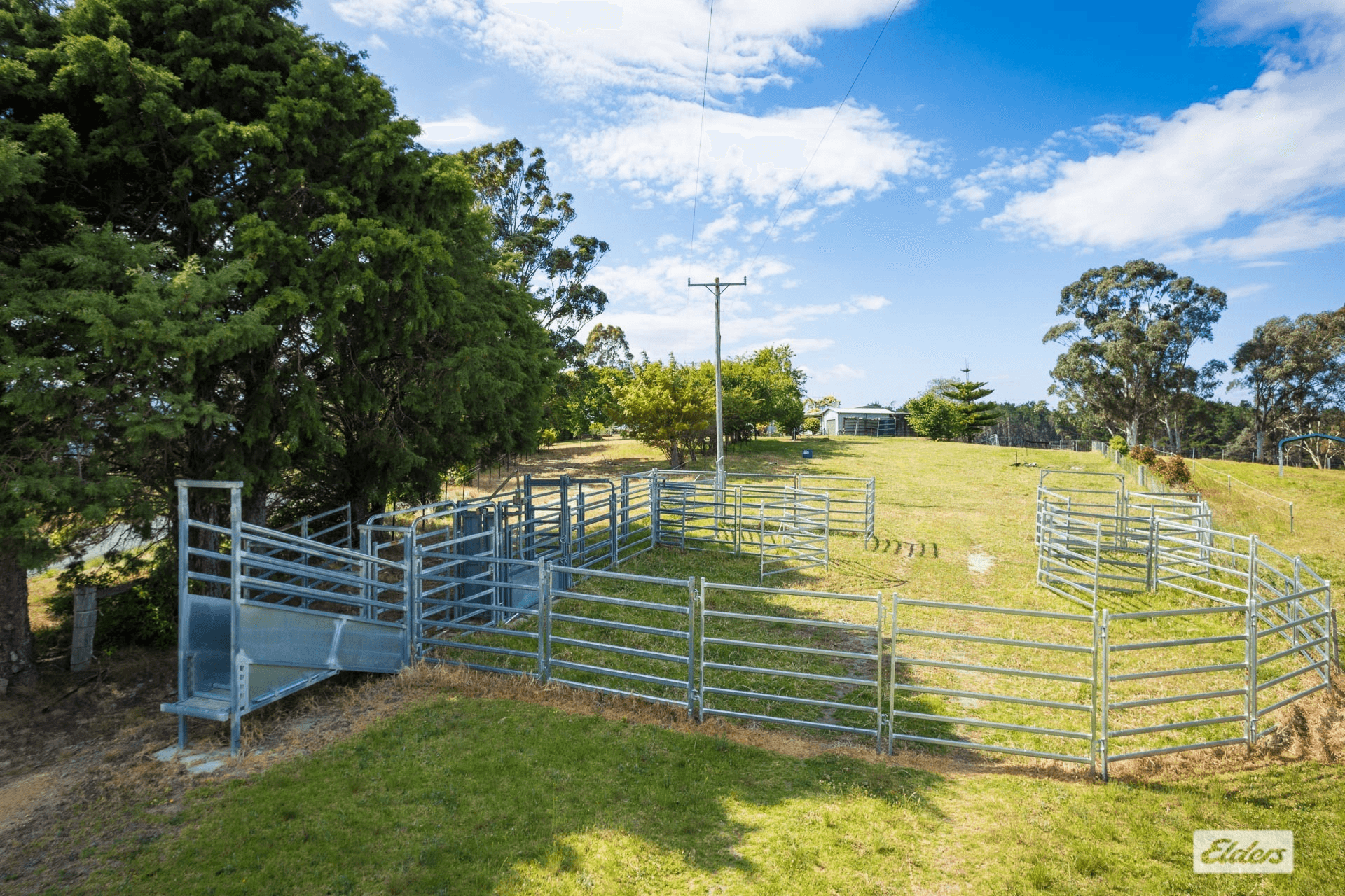 2985 Towamba Road, Towamba, NSW 2550