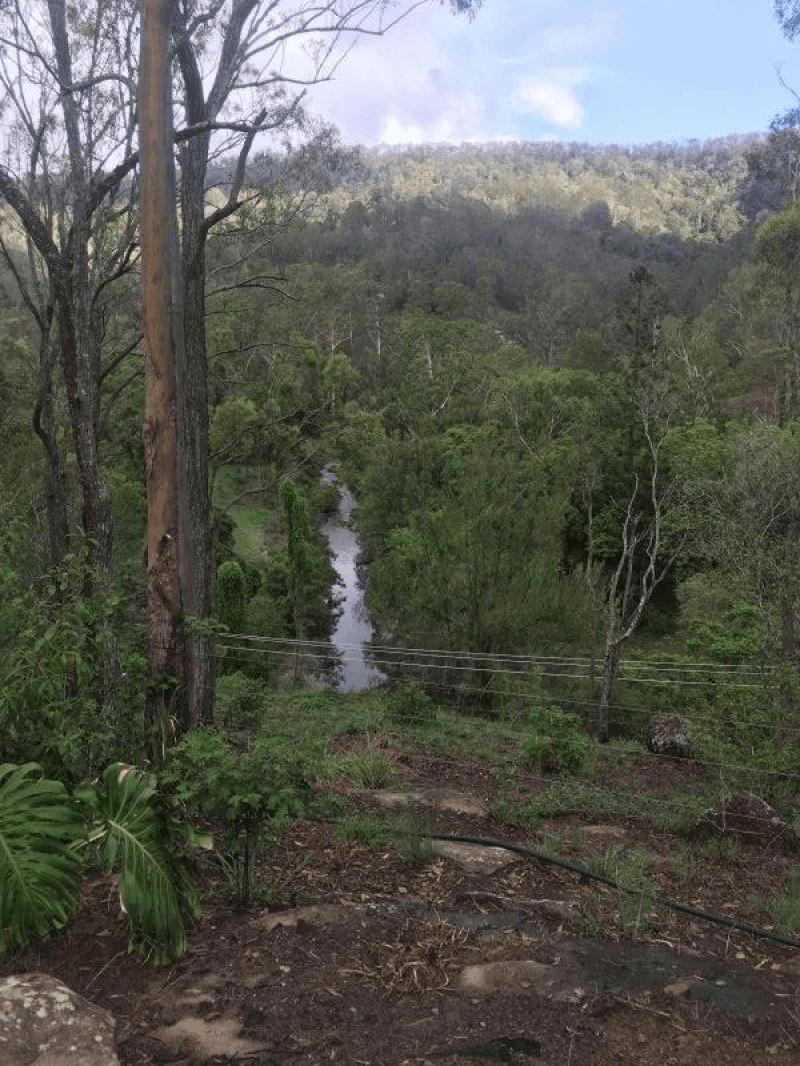 401 Lamington National Park Road, CANUNGRA, QLD 4275