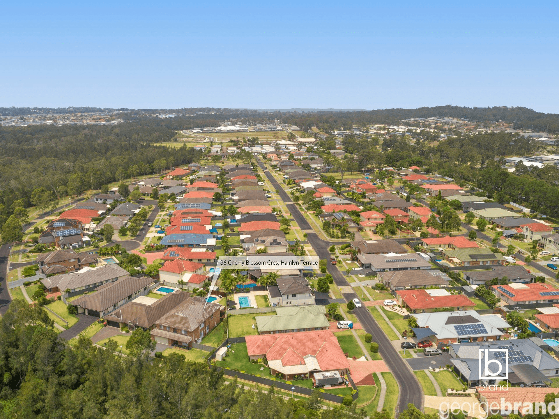 36 Cherry Blossom Crescent, HAMLYN TERRACE, NSW 2259