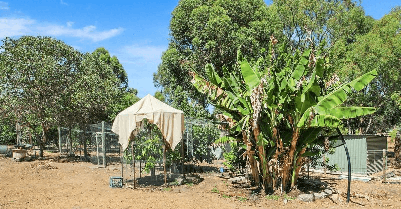 49 Waterford Drive, GIDGEGANNUP, WA 6083