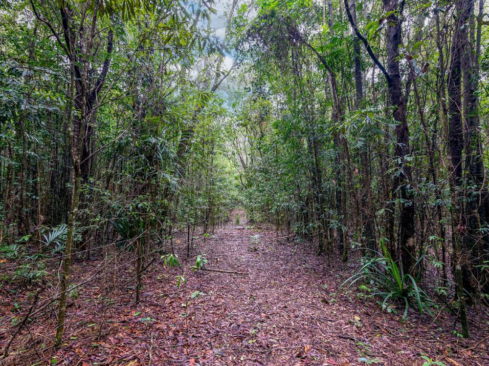 171 Highland Drive, JULATTEN, QLD 4871