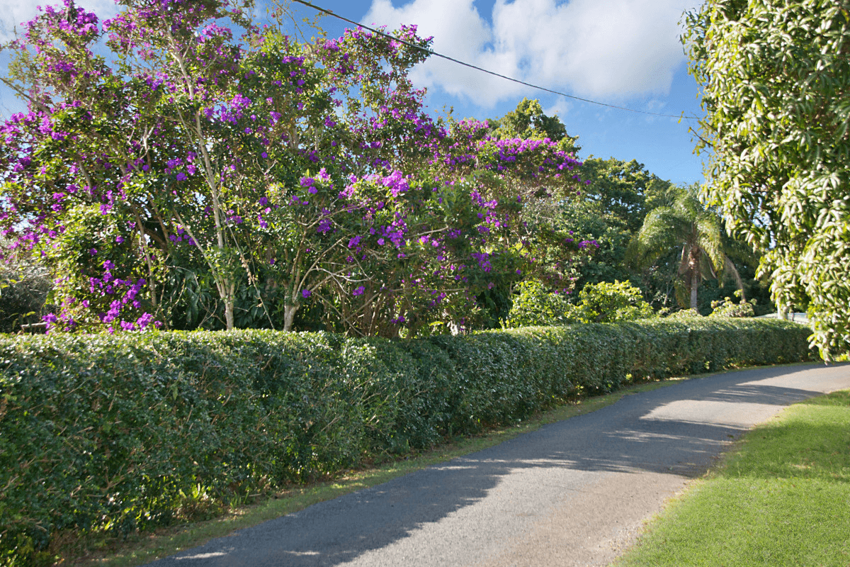 57 Loders Road, Duranbah, NSW 2487